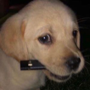 Meet your Posher, John